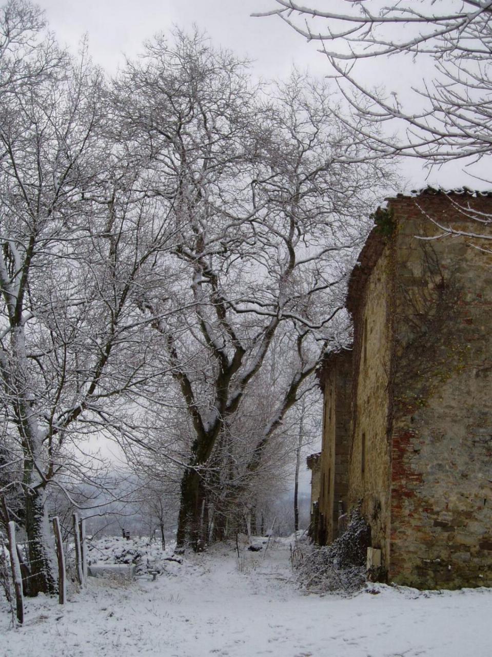 LAGARDE - château enneigé 1