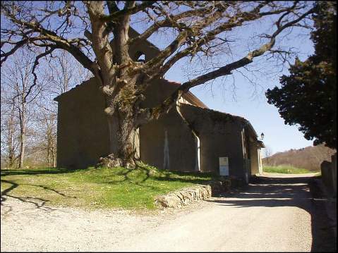 FAJOU - Sa chapelle et son chêne