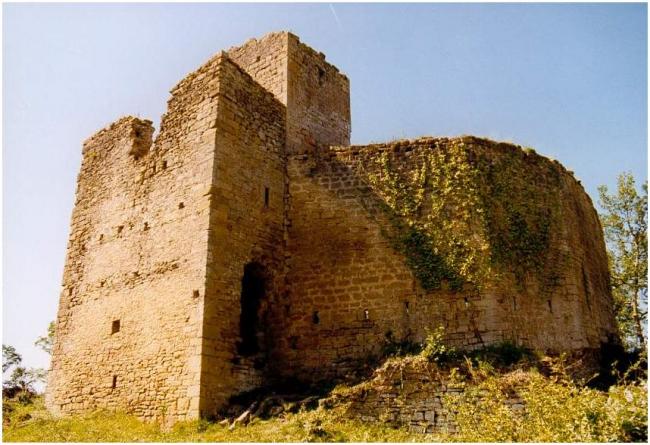 LAGARDE - Château de Montaragou