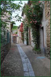 Déambulation dans les rues de Camon